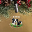 Load image into Gallery viewer, Elation Factory Co Custom Pet Christmas Ornament, Clear Acrylic Holiday Dog / Cat Decoration, Modern Holiday Decor Active