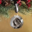 Load image into Gallery viewer, Elation Factory Co Custom Pet Christmas Photo Ornament, Clear Acrylic Holiday Dog / Cat Decoration, Modern Holiday Decor
