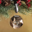 Load image into Gallery viewer, Elation Factory Co Custom Pet Christmas Photo Ornament, Clear Acrylic Holiday Dog / Cat Decoration, Modern Holiday Decor