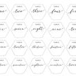 Load image into Gallery viewer, Elation Factory Co Weddings > Decorations > Serving & Dining > Table Décor > Table Numbers Hexagon Table Numbers with stand