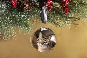 Elation Factory Co Custom Pet Christmas Photo Ornament, Clear Acrylic Holiday Dog / Cat Decoration, Modern Holiday Decor